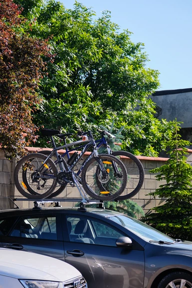 The bikes, after surviving the journey.