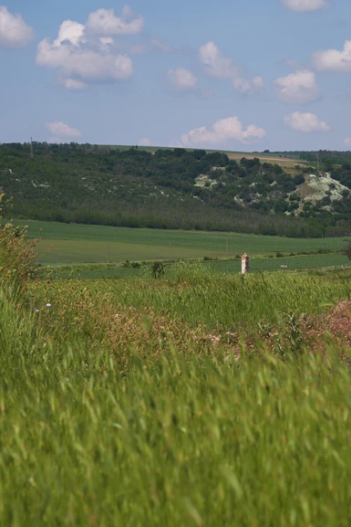 Green fields with a tower in the distance