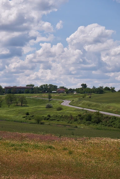 Road leading to Civitas Tropaensium - Adamclisi