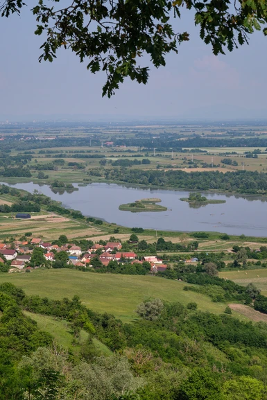 Allegedly there are beavers on those islands in the middle of Olt river.
