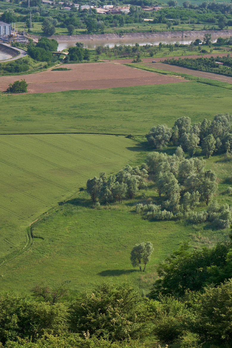 View from the Rucăr viewpoint.
