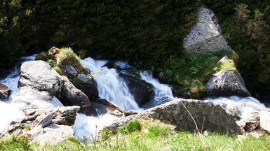 Spring in the mountains.