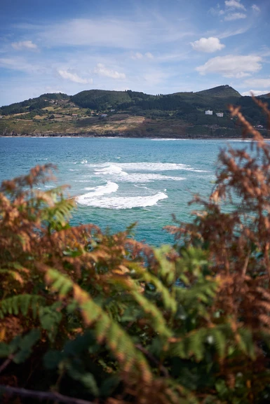 Waves in Mundaka